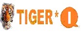 إصدارات جديدة للاجهزة TIGER *I-V1.18 بتاريخ 16-01-2022 P_1340m14tx1