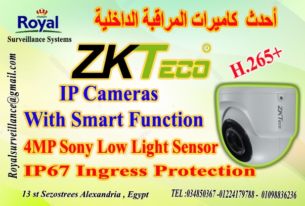 كاميرات مراقبة داخلية بالخصائص الذكية IP Camera ماركة ZKTECO P_13576q37h1